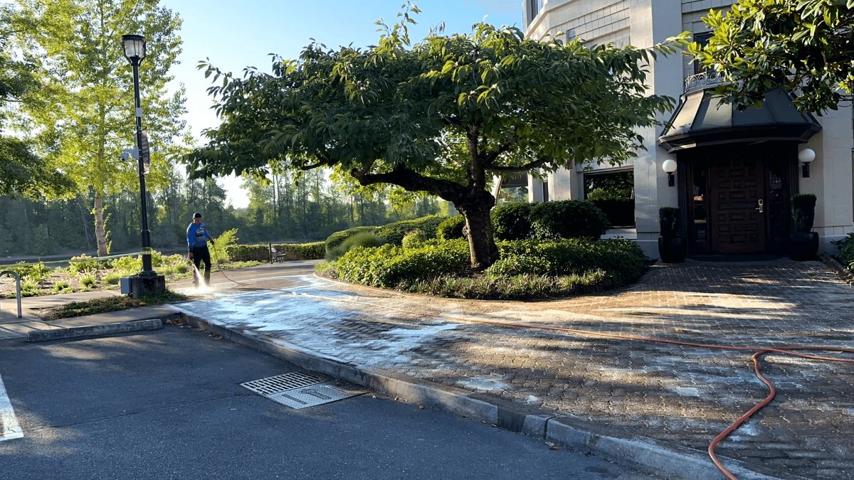 Concrete Cleaning 7