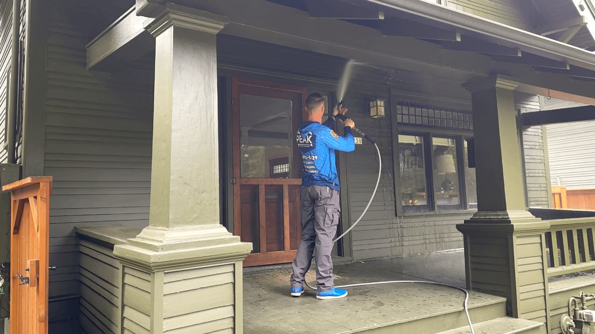 House Washing 6